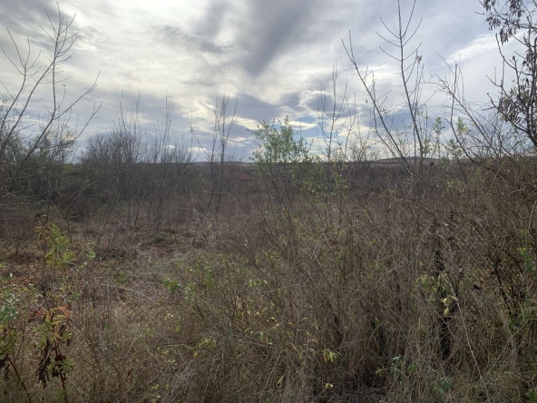 Парцел в с. Овчи кладенец, Област Ямбол - 1595 кв.м за 2 €/кв.м - Снимка #1