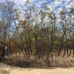 Парцел в Русе, Веждата - 1175 кв.м за 69 €/кв.м - Снимка #1