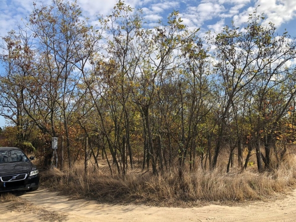 Парцел в Русе, Веждата - 1175 кв.м за 69 €/кв.м - Снимка #1