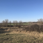 Парцел в с. Самуилово, Област Стара Загора - 865 кв.м за 9 €/кв.м - Снимка #1