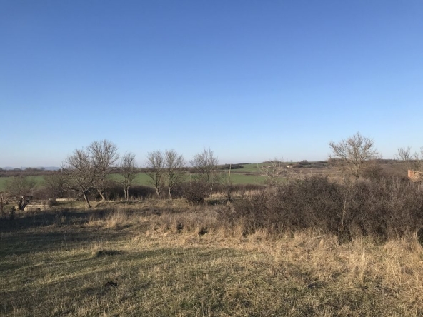 Парцел в с. Самуилово, Област Стара Загора - 865 кв.м за 9 €/кв.м - Снимка #1