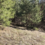 Парцел в с. Луково, Област София-област - 840 кв.м за 28 €/кв.м - Снимка #1