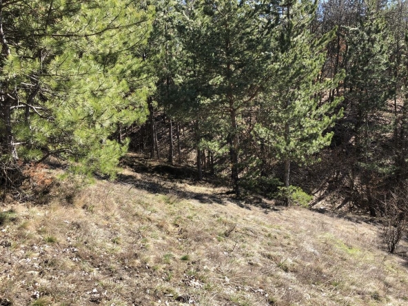 Парцел в с. Луково, Област София-област - 840 кв.м за 28 €/кв.м - Снимка #1