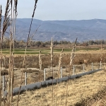 Парцел в с. Плоски, Област Благоевград - 1523 кв.м за 14 €/кв.м - Снимка #1