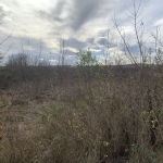 Парцел в с. Овчи кладенец, Област Ямбол - 1595 кв.м за 2 €/кв.м - Снимка #1