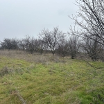 Парцел в с. Калипетрово, Област Силистра - 3000 кв.м за 3 €/кв.м - Снимка #1