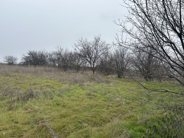 Парцел в с. Калипетрово, Област Силистра - 3000 кв.м за 3 €/кв.м - Снимка #1