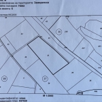 Парцел в Габрово, Шенини - 5500 кв.м за 5 €/кв.м - Снимка #1