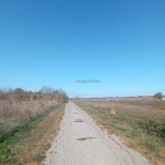 Парцел в с. Черноморци, Област Добрич - 6410 кв.м за 6 €/кв.м - Снимка #1