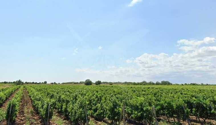 Парцел в с. Присад, Област Бургас - 2116 кв.м за 4 €/кв.м - Снимка #1