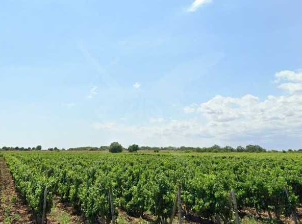 Парцел в с. Присад, Област Бургас - 2116 кв.м за 8 €/кв.м - Снимка #1