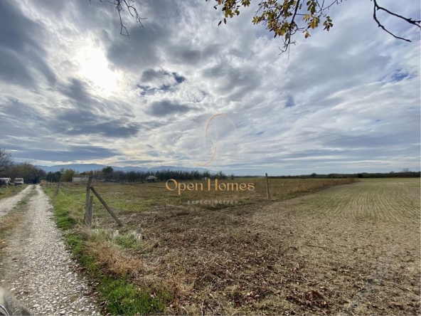 Земеделски имот в с. Оризари, Област Пловдив -  кв.м за 20000 €/дка - Снимка #1