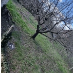 Парцел в с. Киевци, Област Габрово - 900 кв.м за 34 €/кв.м - Снимка #1