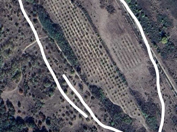 Земеделски имот в с. Виноградец, Област Пазарджик -  кв.м за 1913 €/дка - Снимка #1