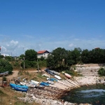 Парцел в с. Тюленово, Област Добрич - 10000 кв.м за 6 €/кв.м - Снимка #1