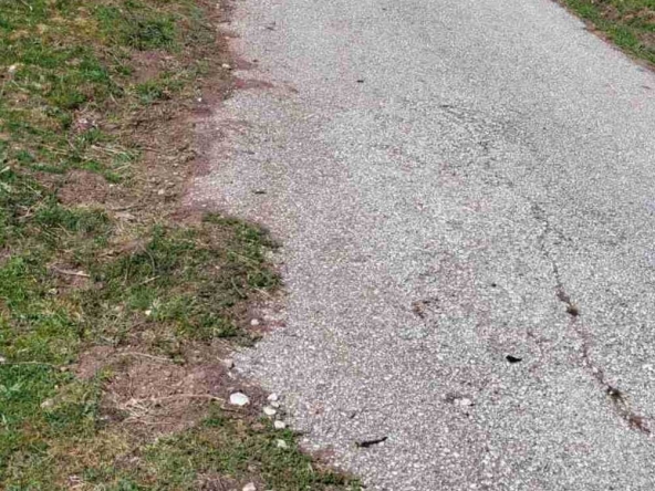 Парцел в с. Белица, Област Пловдив - 1150 кв.м за 14 €/кв.м - Снимка #1