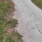 Парцел в с. Белица, Област Пловдив - 1150 кв.м за 20 €/кв.м - Снимка #1