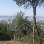 Парцел в Варна, м-т Акчелар - 1187 кв.м за 41 €/кв.м - Снимка #1