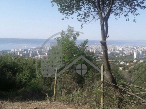 Парцел в Варна, м-т Акчелар - 1187 кв.м за 41 €/кв.м - Снимка #1