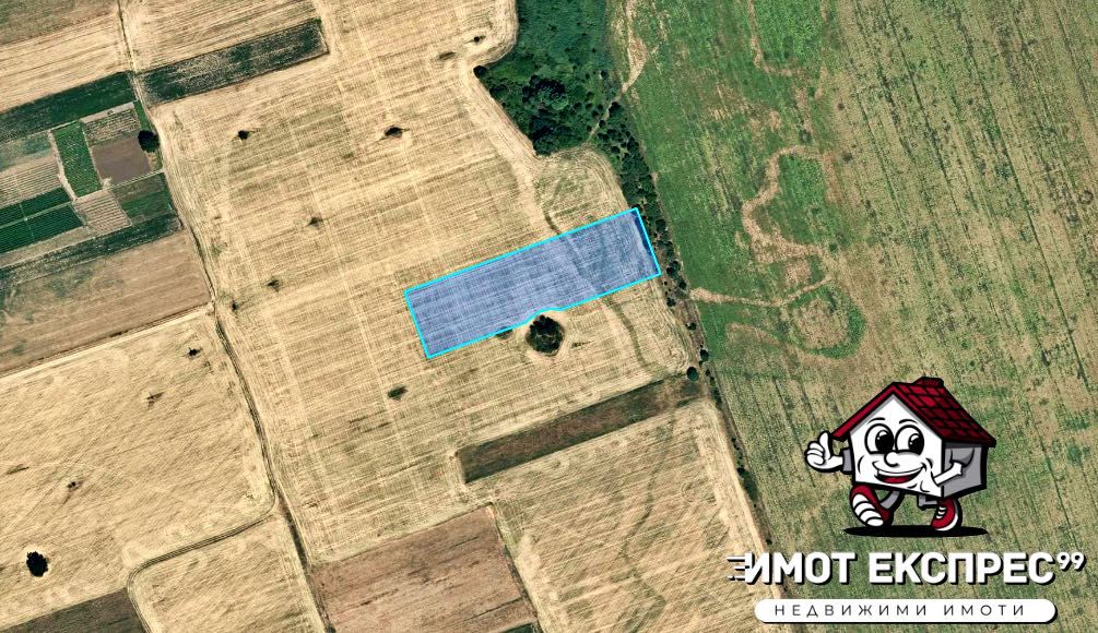 Парцел в Асеновград - 12000 кв.м за 2 €/кв.м - Снимка #1