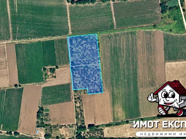 Земеделски имот в Асеновград -  кв.м за 1530 €/дка - Снимка #1