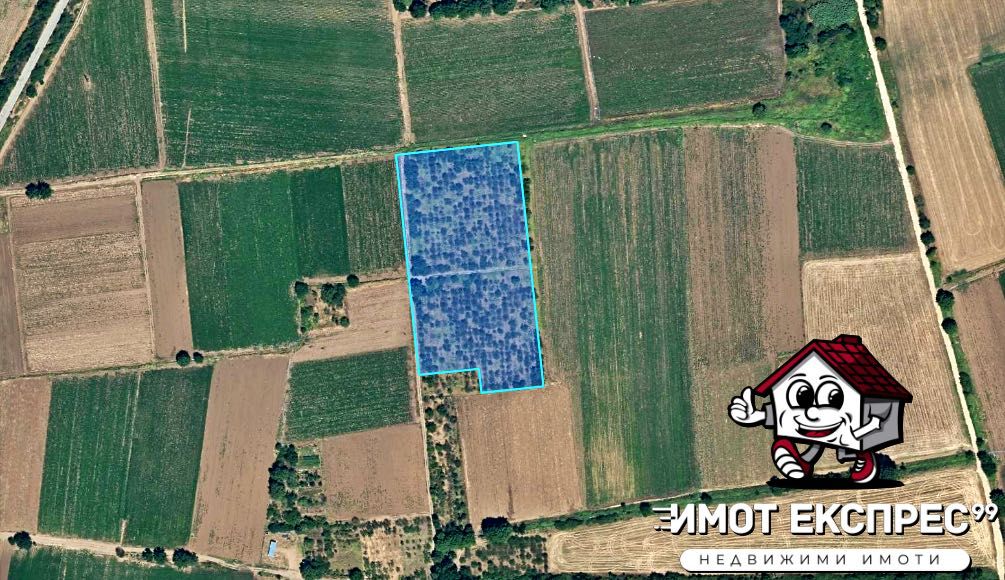 Земеделски имот в Асеновград -  кв.м за 1530 €/дка - Снимка #1