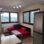 Дава се под наем Двустаен апартамент в София, Витоша - 50 кв.м за 618.12 € - Снимка #1