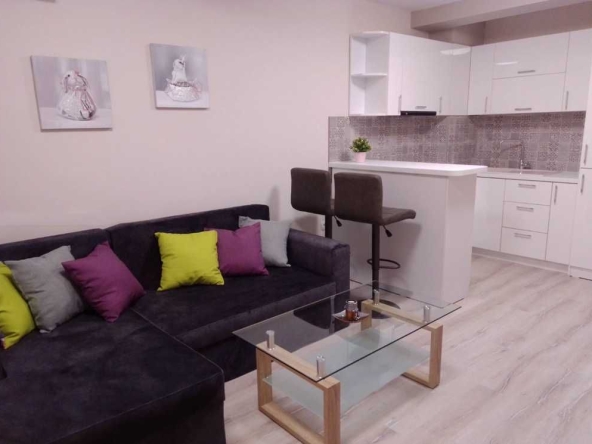 Дава се под наем Двустаен апартамент в Пловдив, Каменица 1 - 65 кв.м за 475 € - Снимка #1