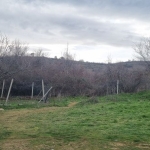 Дава се под наем Склад в с. Първенец, Област Пловдив - 300 кв.м за 348.84 € - Снимка #1