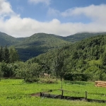 Къща в с. Лопушня, Област София-област - 60 кв.м за 534 €/кв.м - Снимка #1