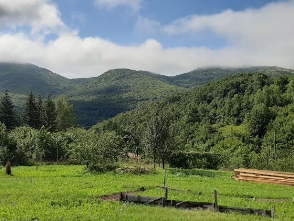 Къща в с. Лопушня, Област София-област - 60 кв.м за 534 €/кв.м - Снимка #1