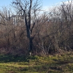 Парцел в Велико Търново, Централна гара - 955 кв.м за 33 €/кв.м - Снимка #1