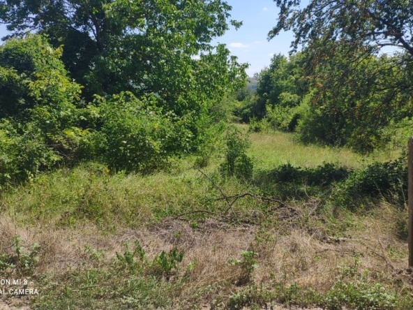 Парцел в Варна, м-т Пчелина - 969 кв.м за 11 €/кв.м - Снимка #1