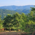 Парцел в Трявна - 500 кв.м за 30 €/кв.м - Снимка #1