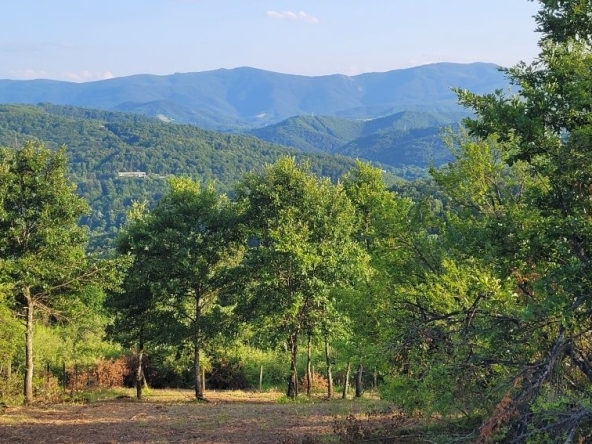 Парцел в Трявна - 500 кв.м за 30 €/кв.м - Снимка #1