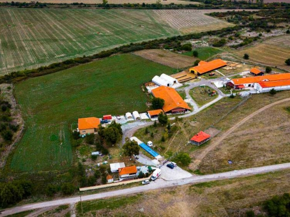 Парцел в с. Пробуда, Област Търговище - 38000 кв.м за 60 €/кв.м - Снимка #1