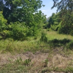 Парцел в Варна, м-т Пчелина - 969 кв.м за 8 €/кв.м - Снимка #1