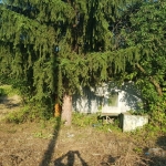 Парцел в Русе, Център - 1000 кв.м за 21 €/кв.м - Снимка #1