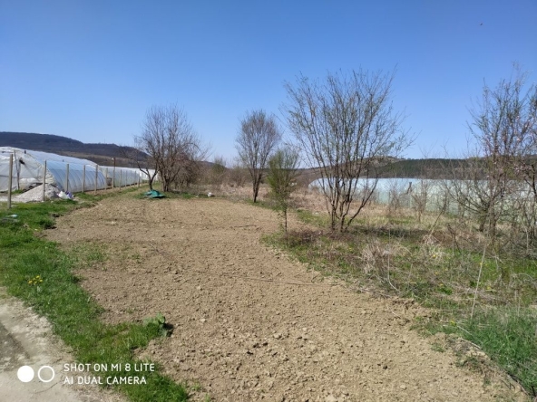 Дава се под наем Парцел в Дебелец - 3000 кв.м за 102 € - Снимка #1