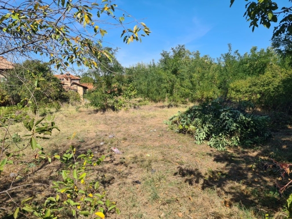 Парцел в с. Мало Конаре, Област Пазарджик - 924 кв.м за 28 €/кв.м - Снимка #1