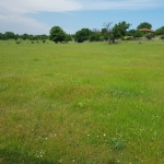 Парцел в с. Козичино, Област Бургас - 6500 кв.м за 3 €/кв.м - Снимка #1