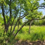 Парцел в Годеч - 430 кв.м за 25 €/кв.м - Снимка #1