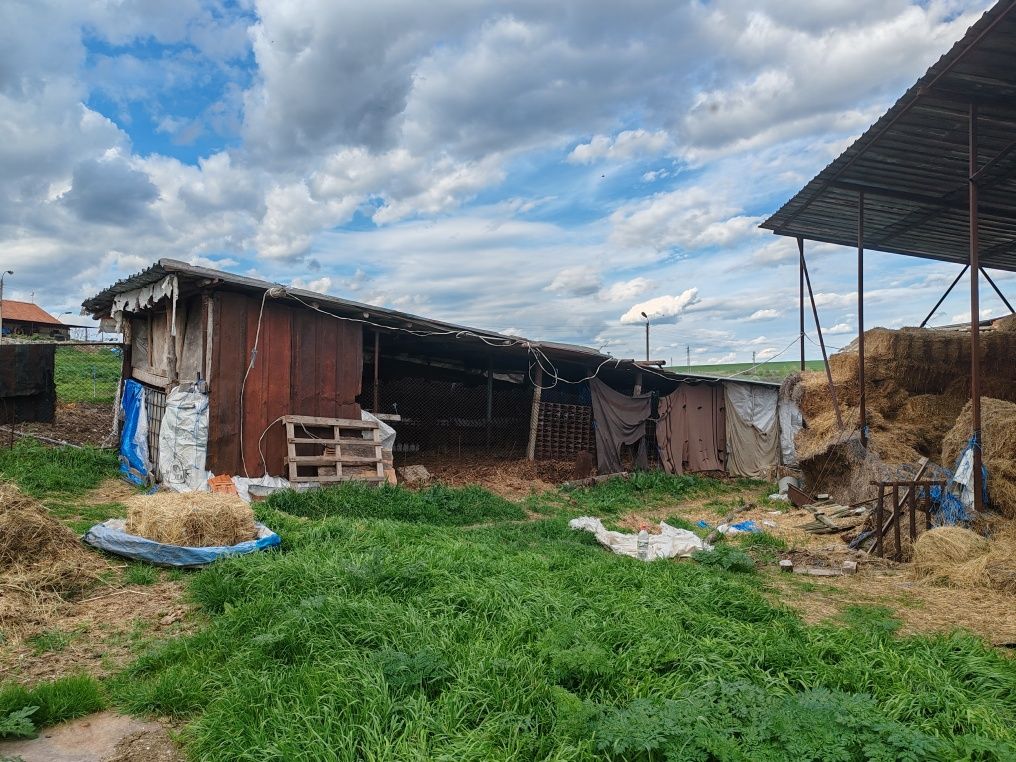 Склад в с. Раздел, Област Ямбол - 1250 кв.м за 229 €/кв.м - Снимка #1