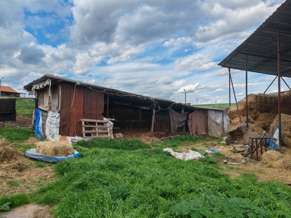 Склад в с. Раздел, Област Ямбол - 1250 кв.м за 246 €/кв.м - Снимка #1