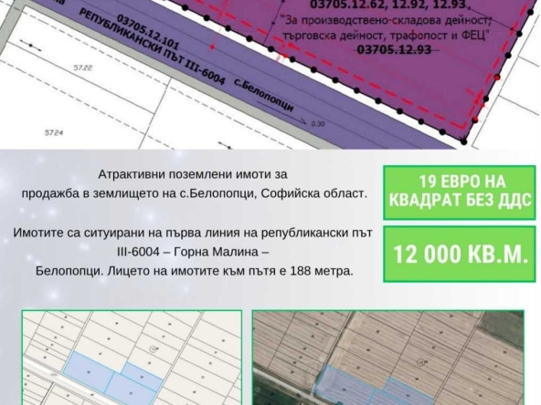 Парцел в с. Белопопци, Област София-област - 12000 кв.м за 10 €/кв.м - Снимка #1