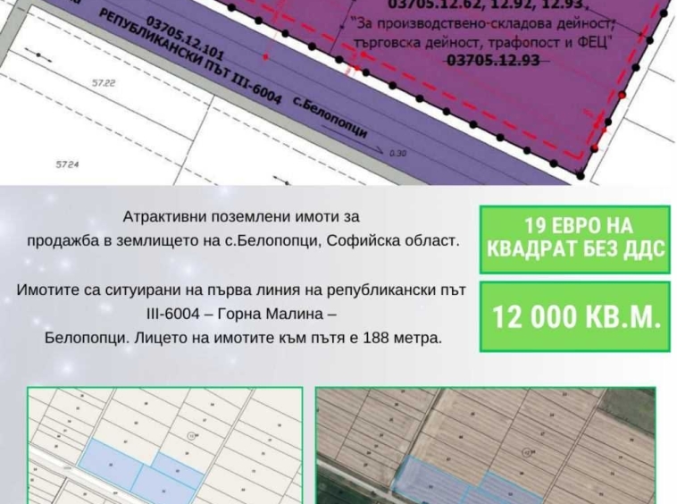Парцел в с. Белопопци, Област София-област - 12000 кв.м за 10 €/кв.м - Снимка #1