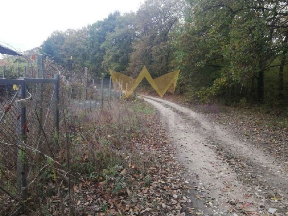 Парцел в Варна, м-т Боровец - юг - 600 кв.м за 92 €/кв.м - Снимка #1