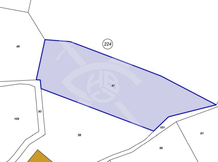 Земеделски имот в Асеновград -  кв.м за 30 €/дка - Снимка #1