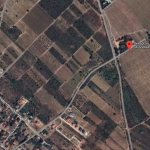 Парцел в с. Брестник, Област Пловдив - 3601 кв.м за 35 €/кв.м - Снимка #1