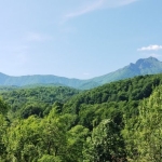 Парцел в Априлци - 9145 кв.м за 9 €/кв.м - Снимка #1